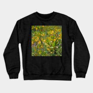 Beach Mangrove Crewneck Sweatshirt
